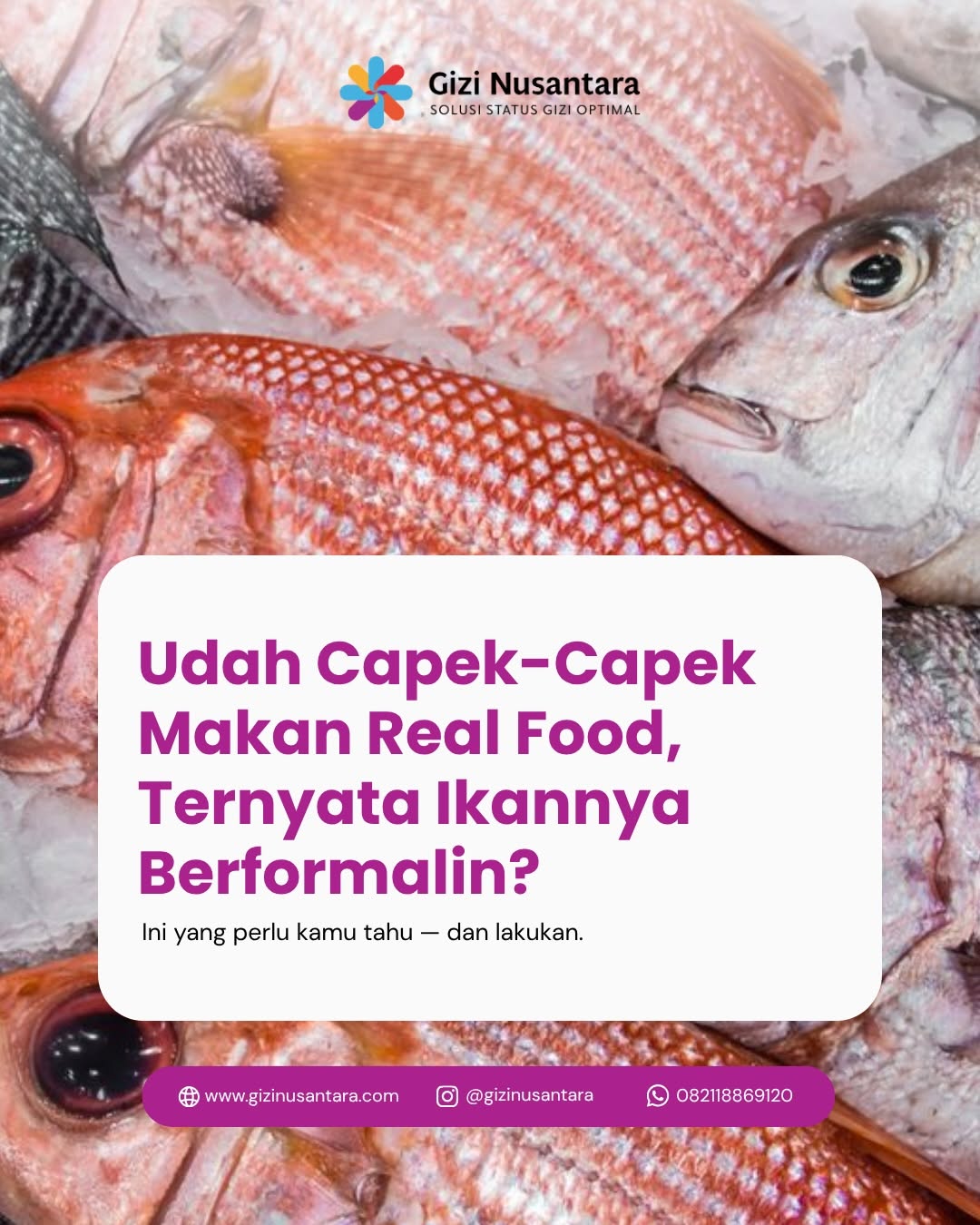 @Gizi Nusantara Official