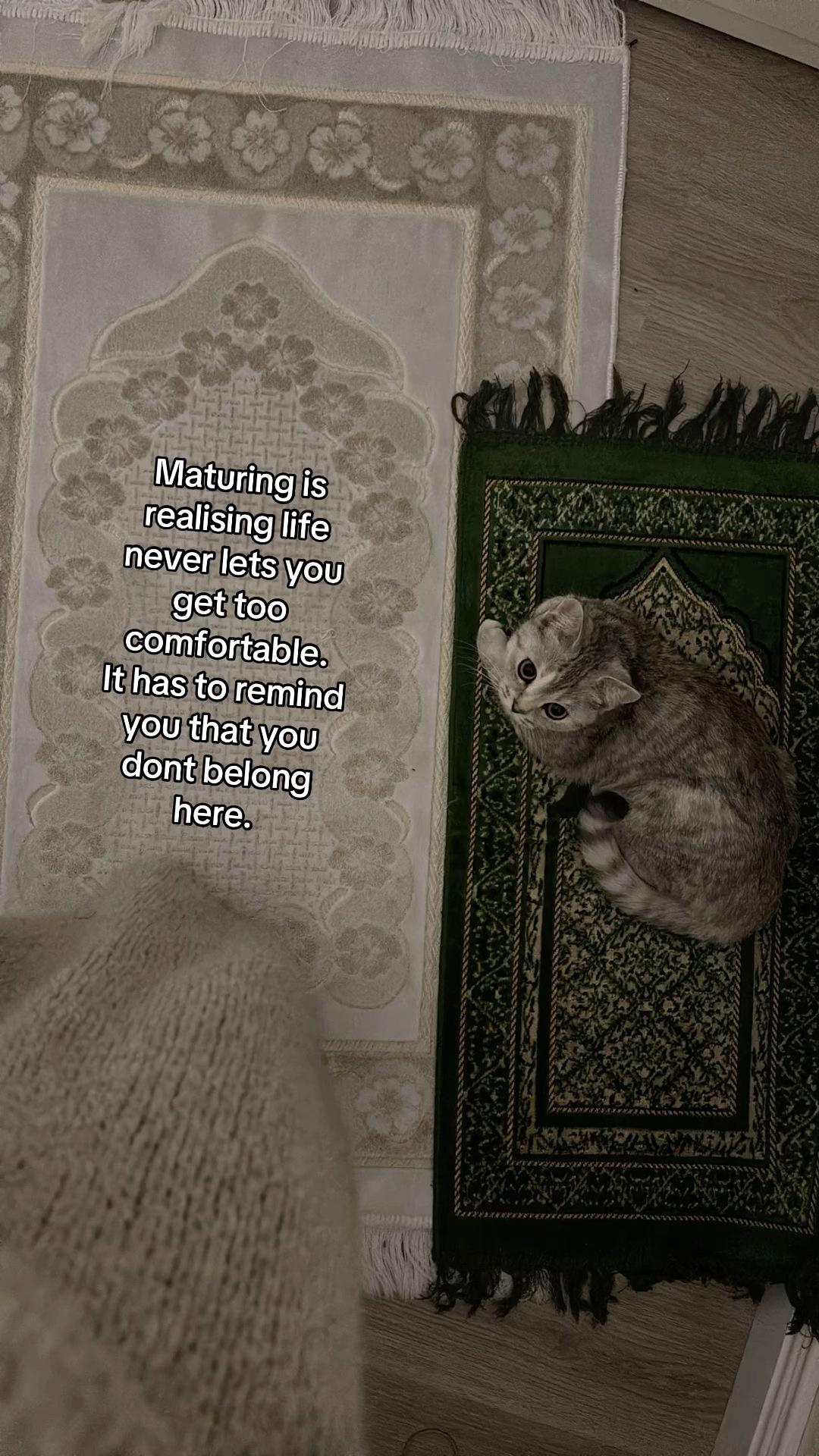 @Islam🫶🏼