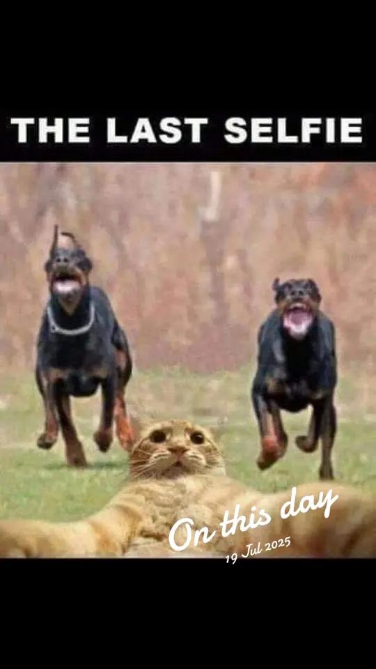 @𖤐รtคtเς.ร๏ยl𖤐×͜×