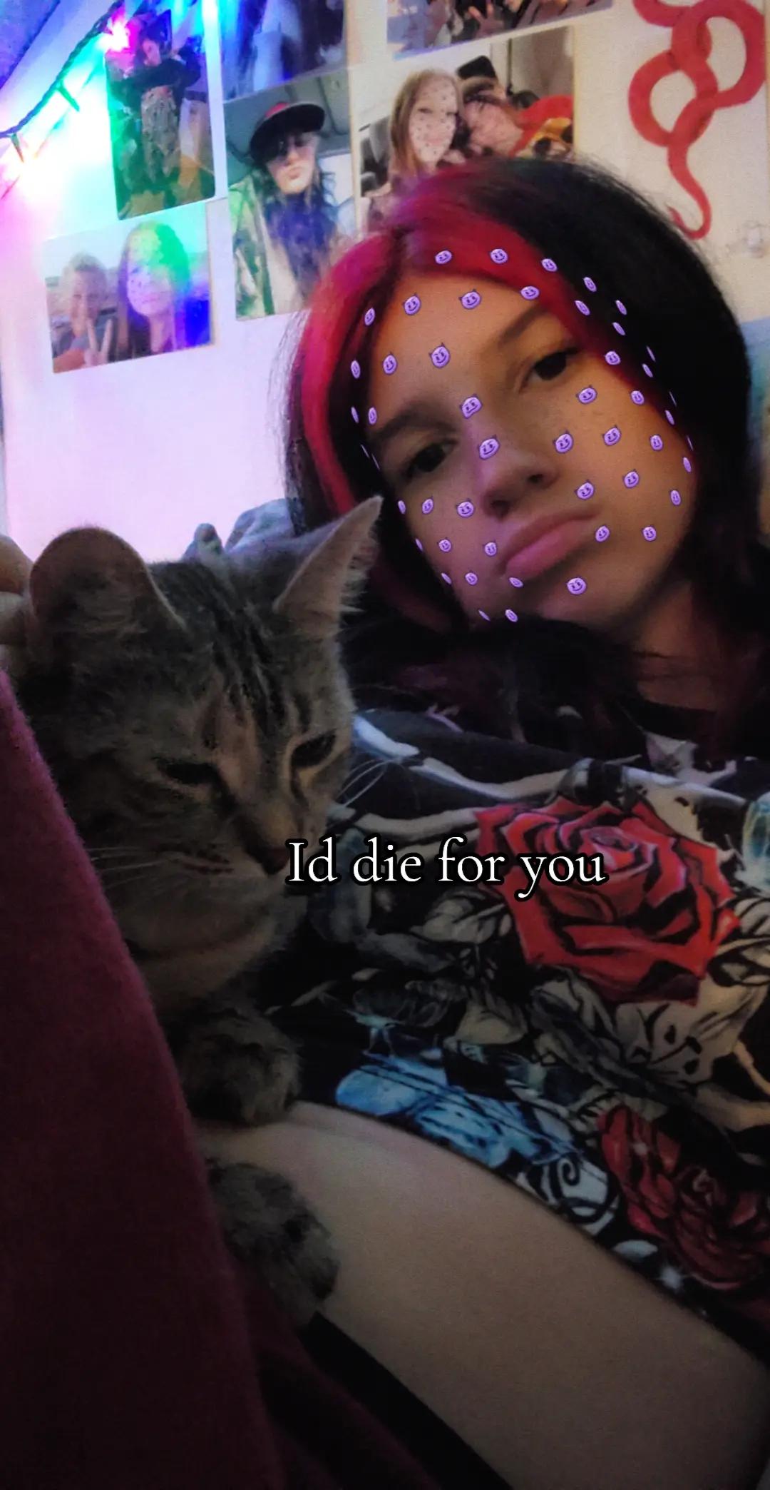 @Tajij<3