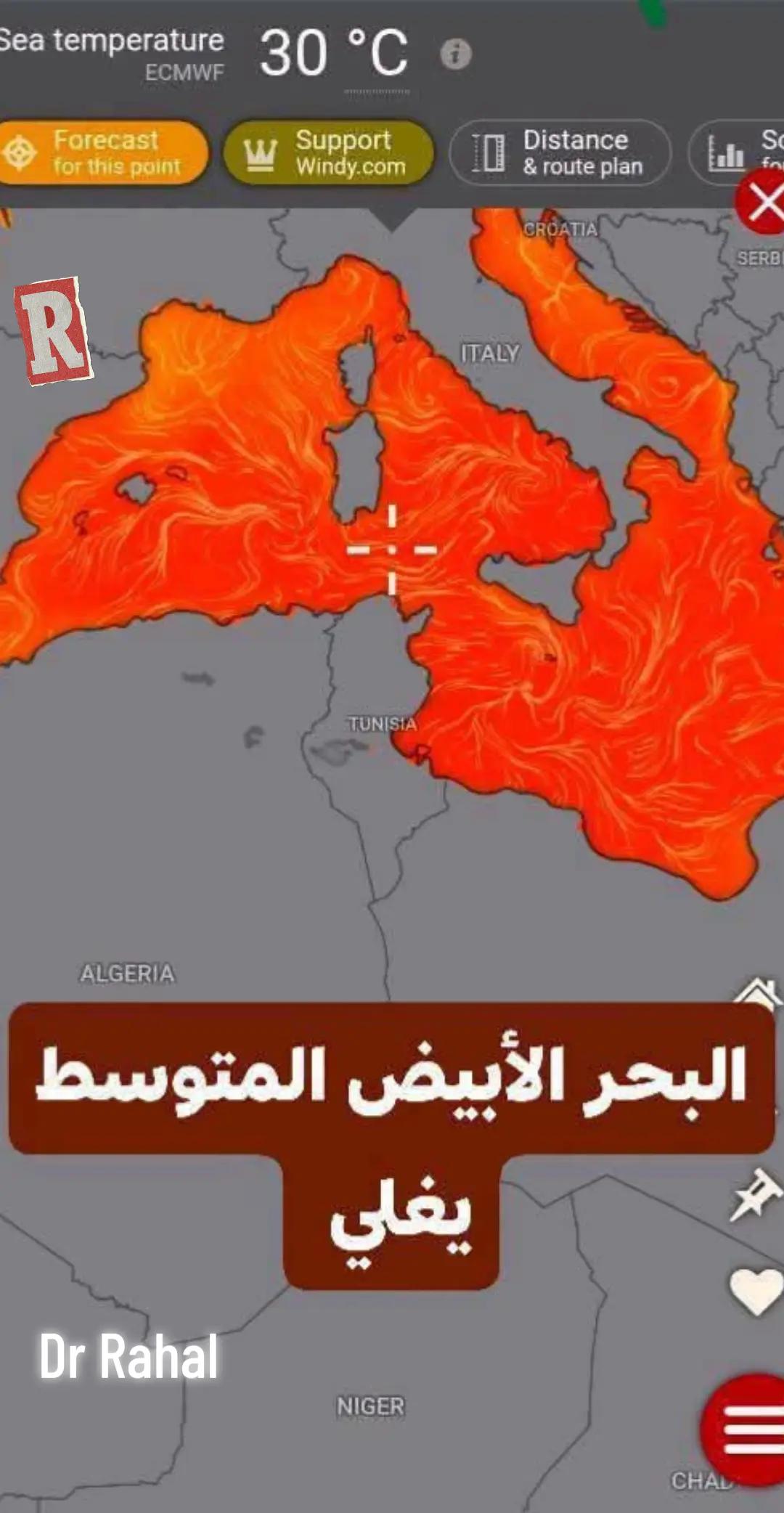 @❣️دكتور رحال❣️