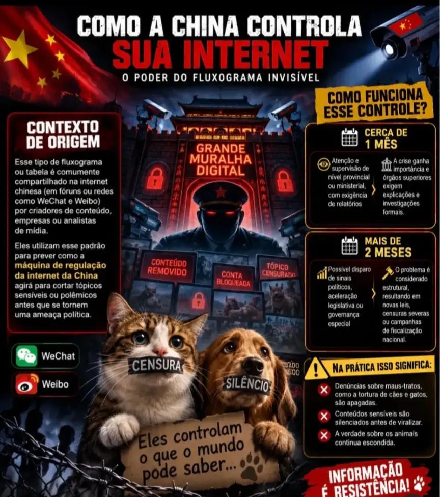 @Resist&ecirc;ncia Felina 🇧🇷