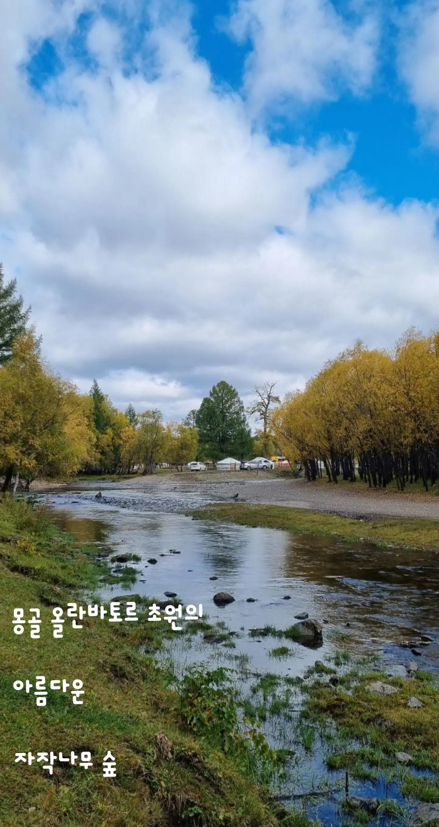 @참파