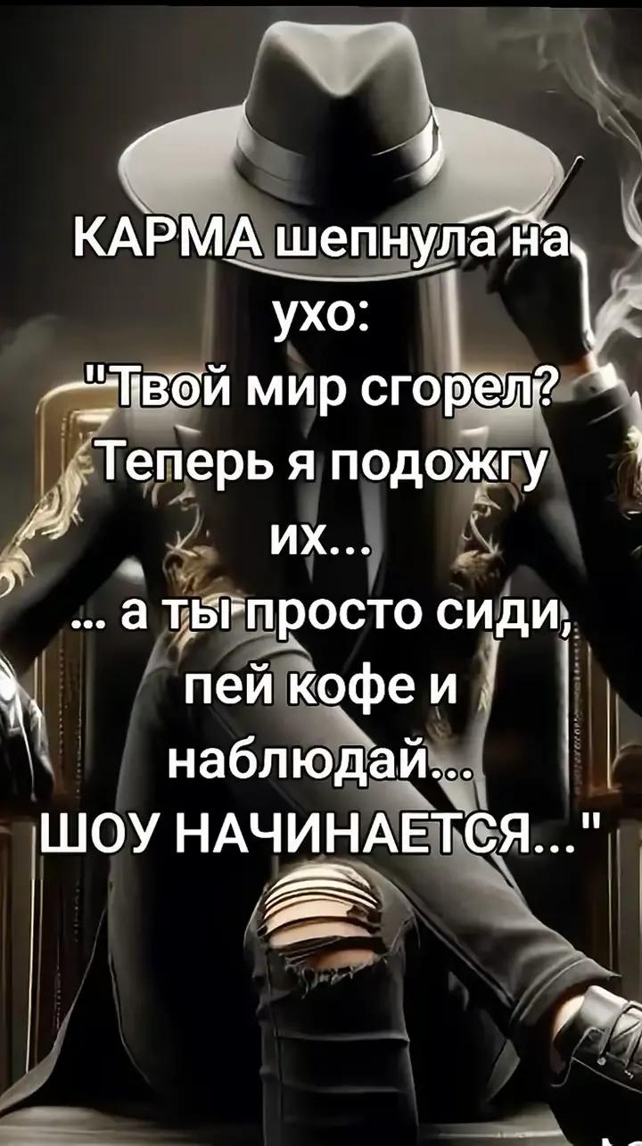 @wolf22877