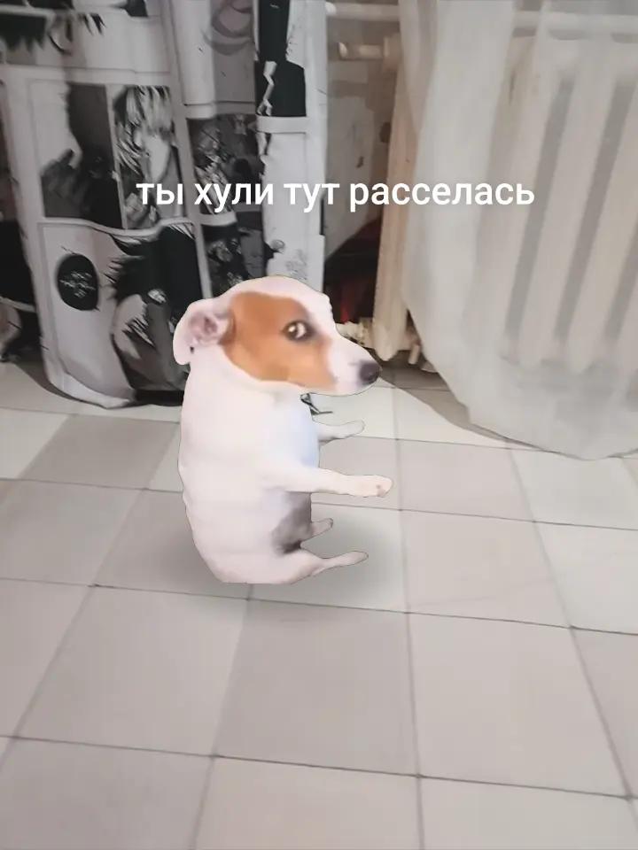 @ебать vodka вставляет