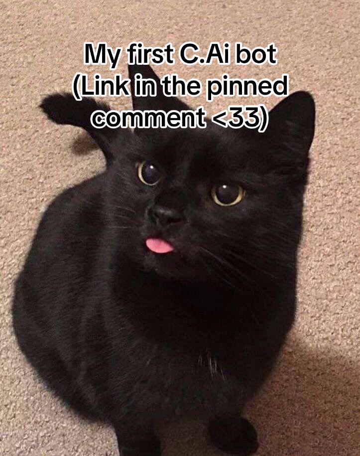 @remamo_