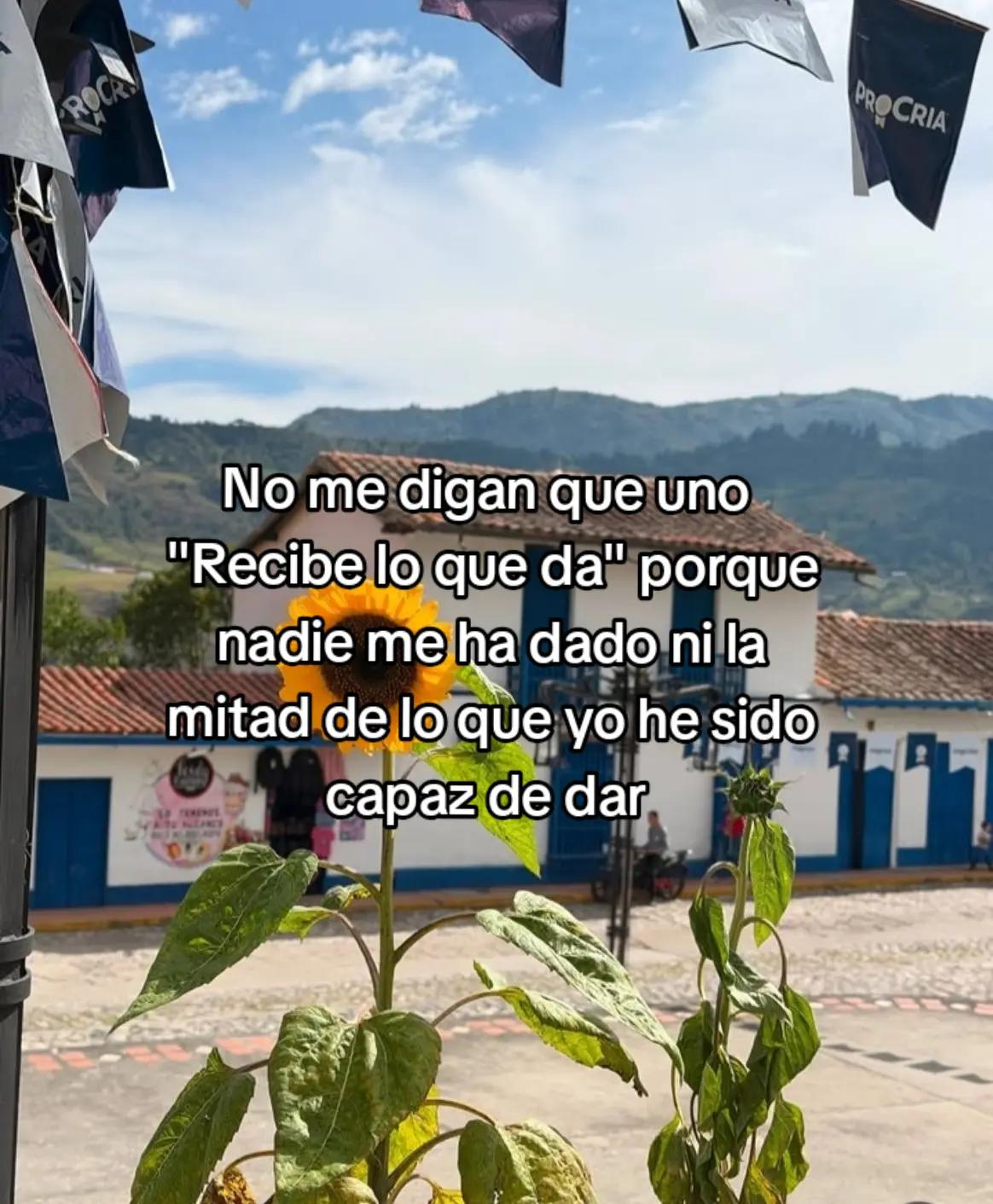 @Hija de Dios 🦋🌻♥️✨️