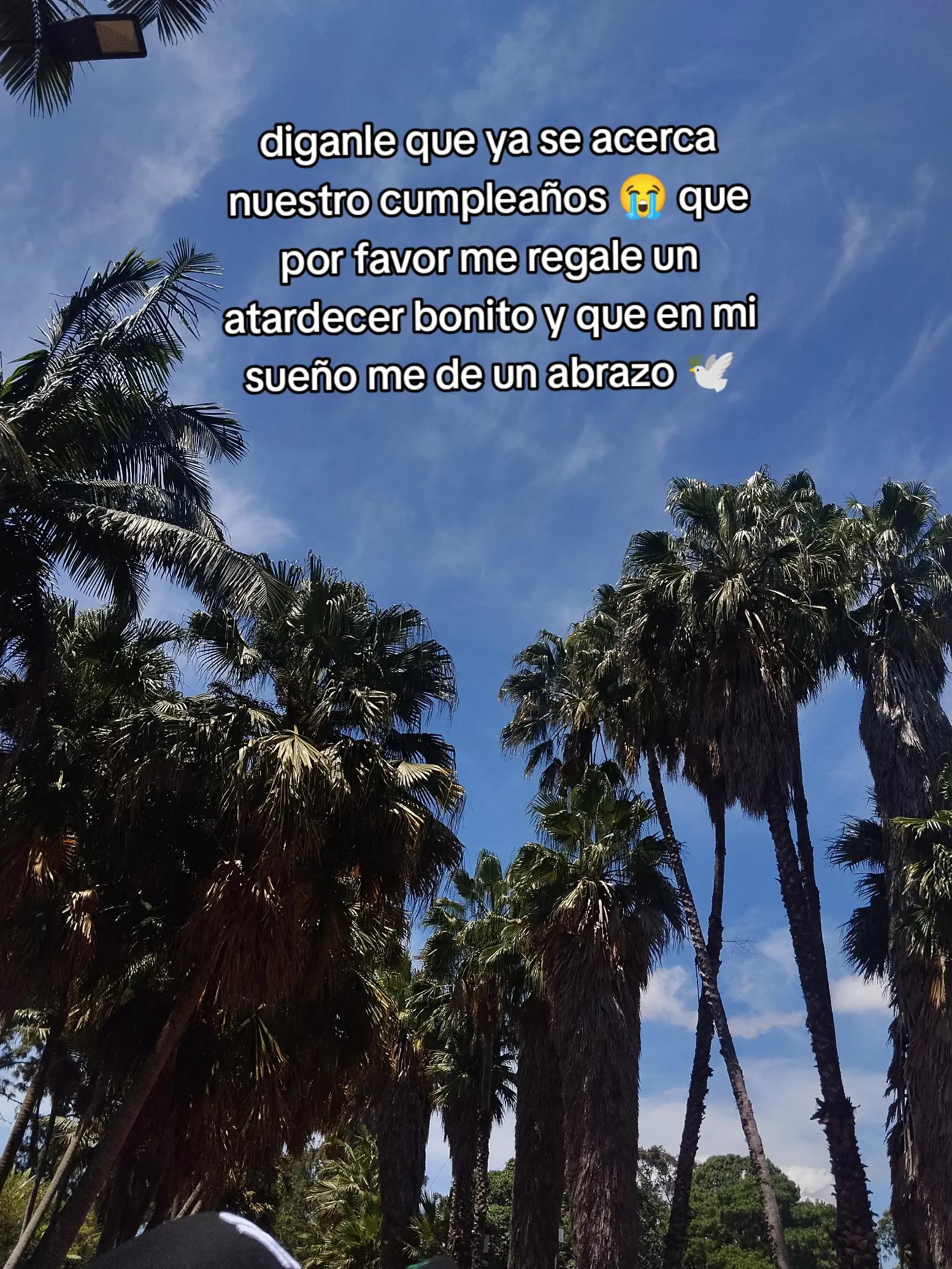 @yaya 💜🥷