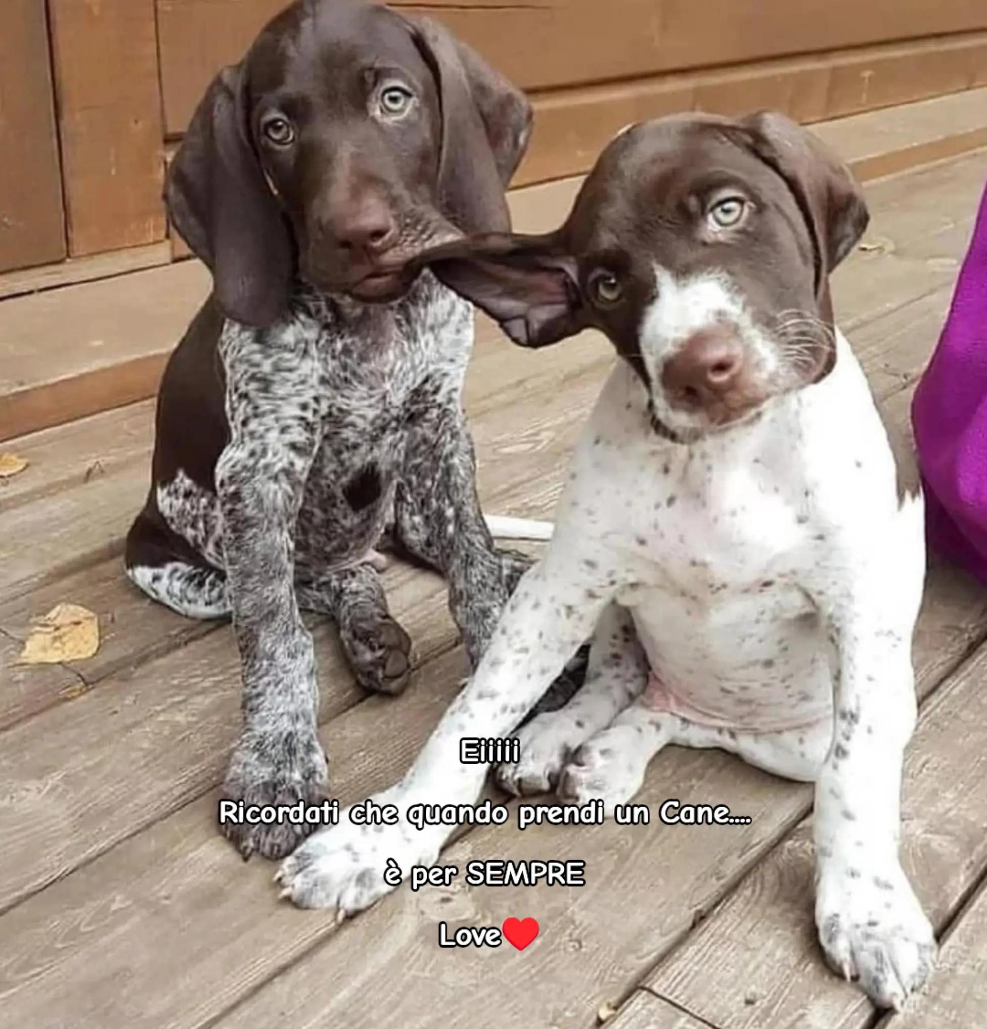 @Rossana♥️Billy♥️ Léon ♥️