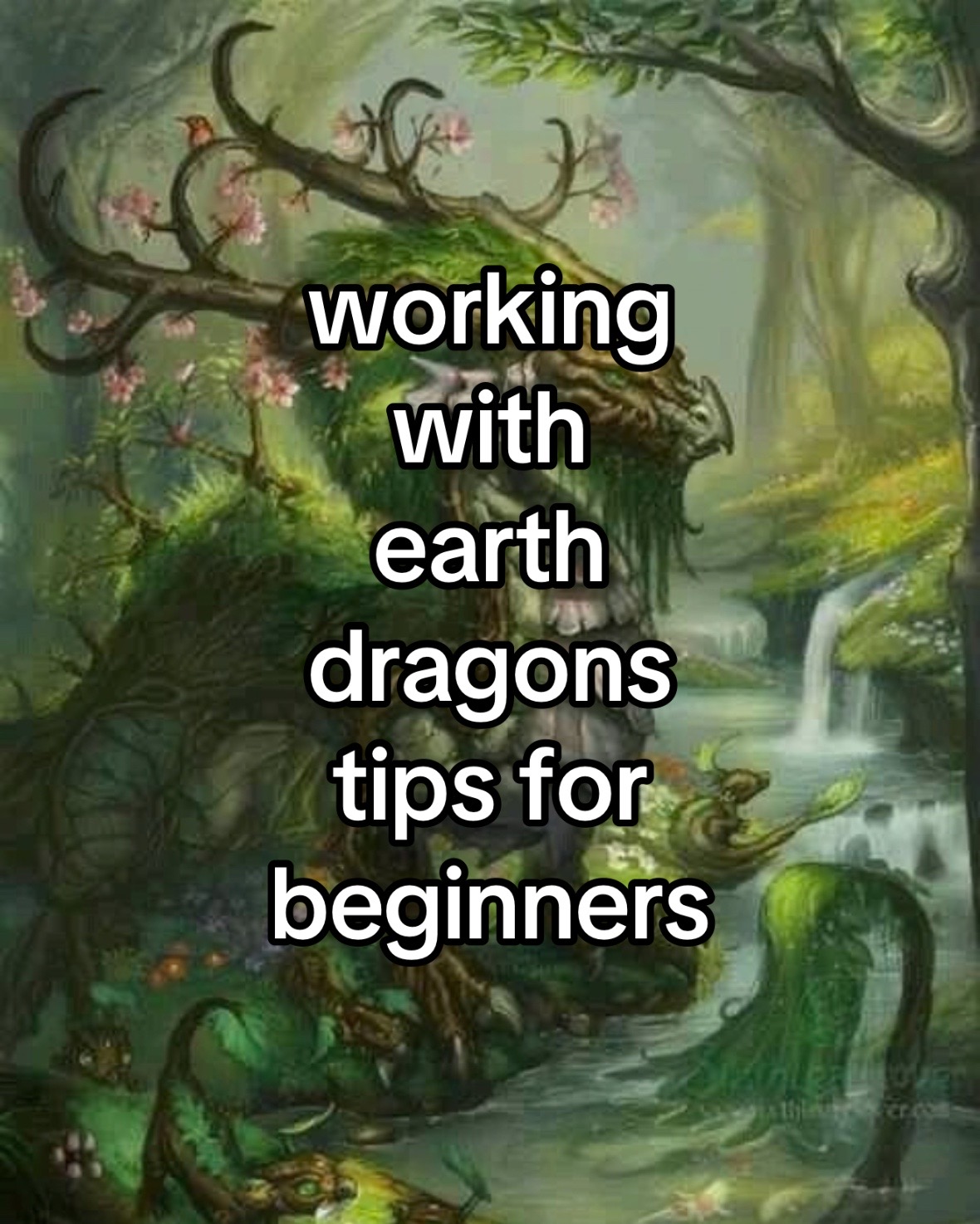 @The Draconic Priestess 🐉