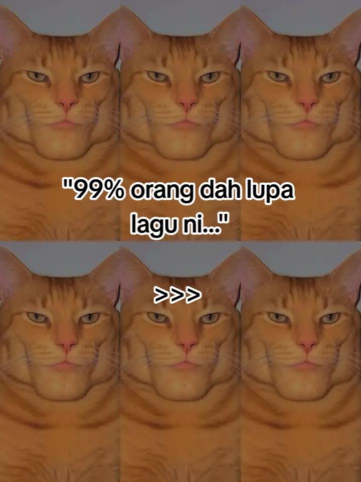 @HykalSazer01