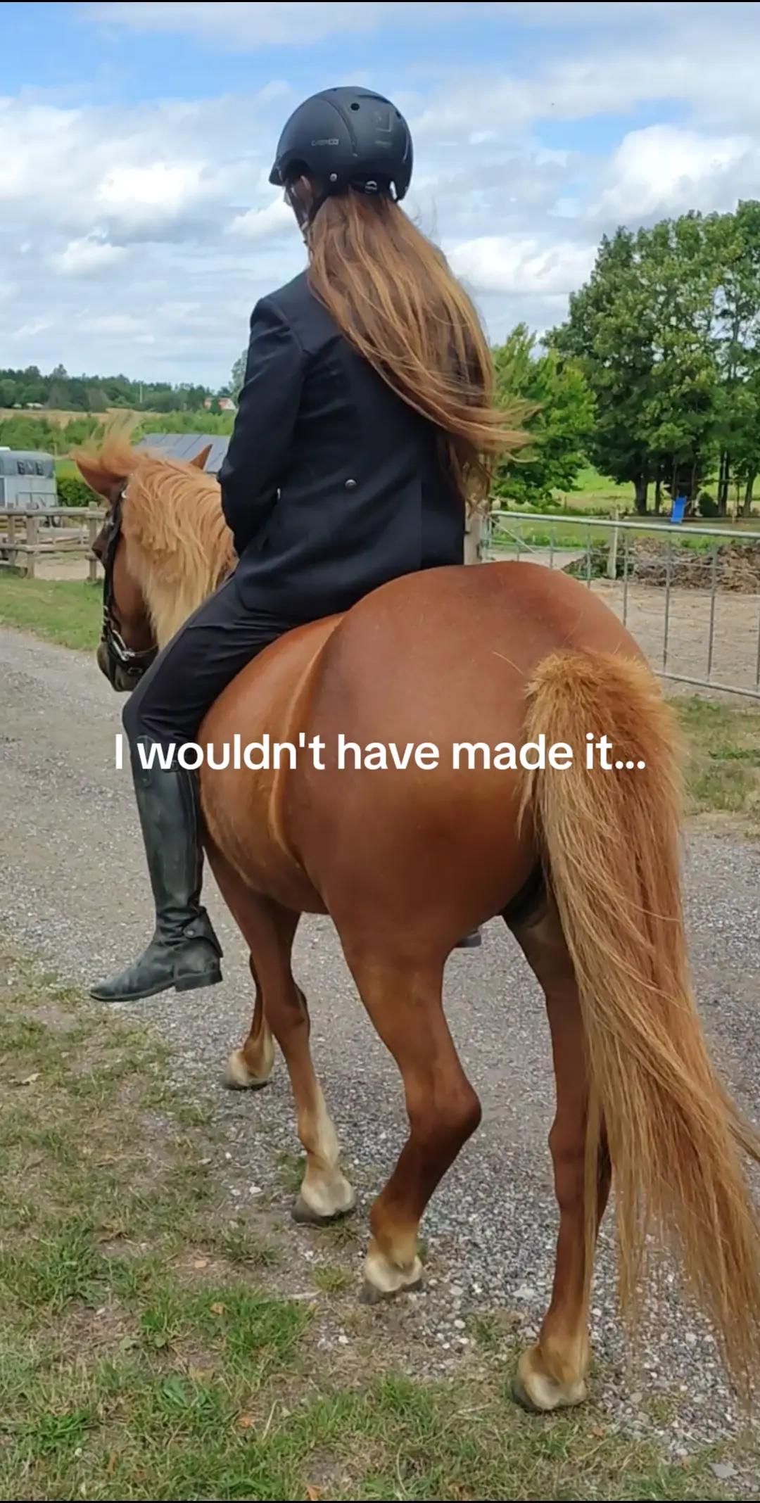 @Equestrian_Dk๐ฉ๐ฐโโโ