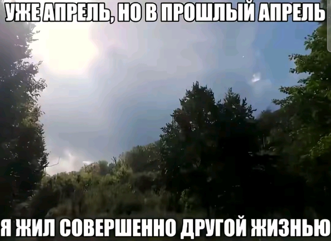 @поех@вшая саша