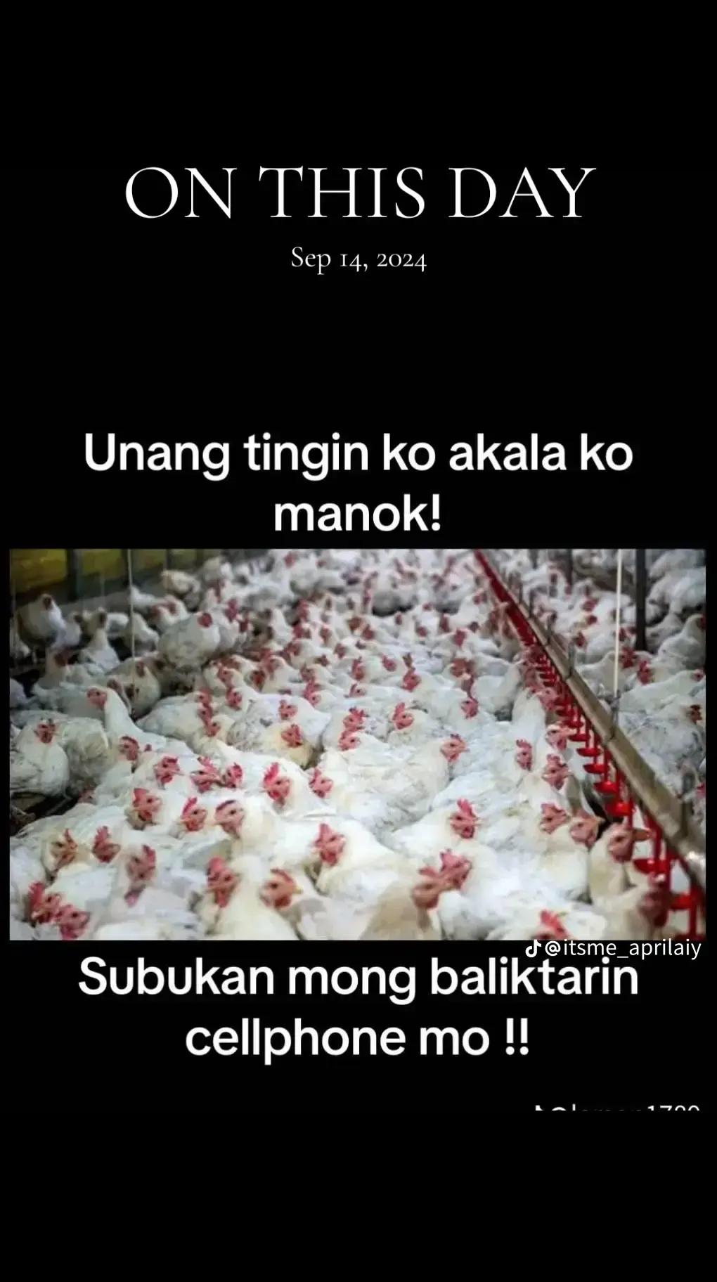 @wenelyn