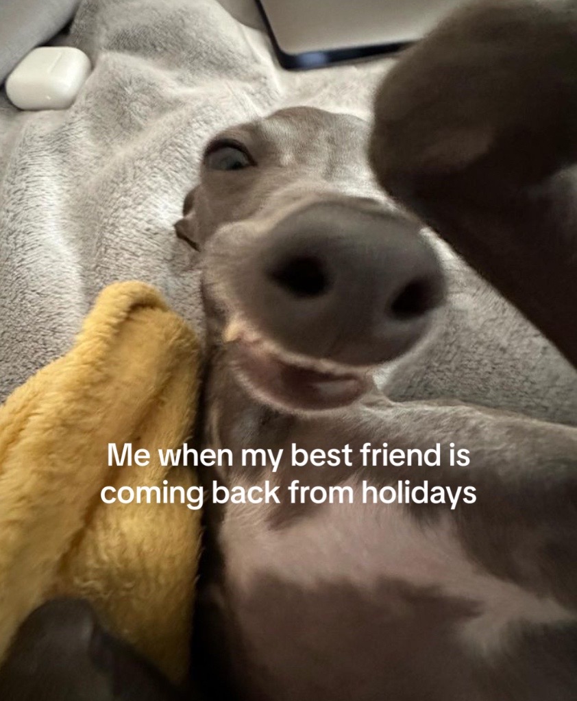 @💐🪻