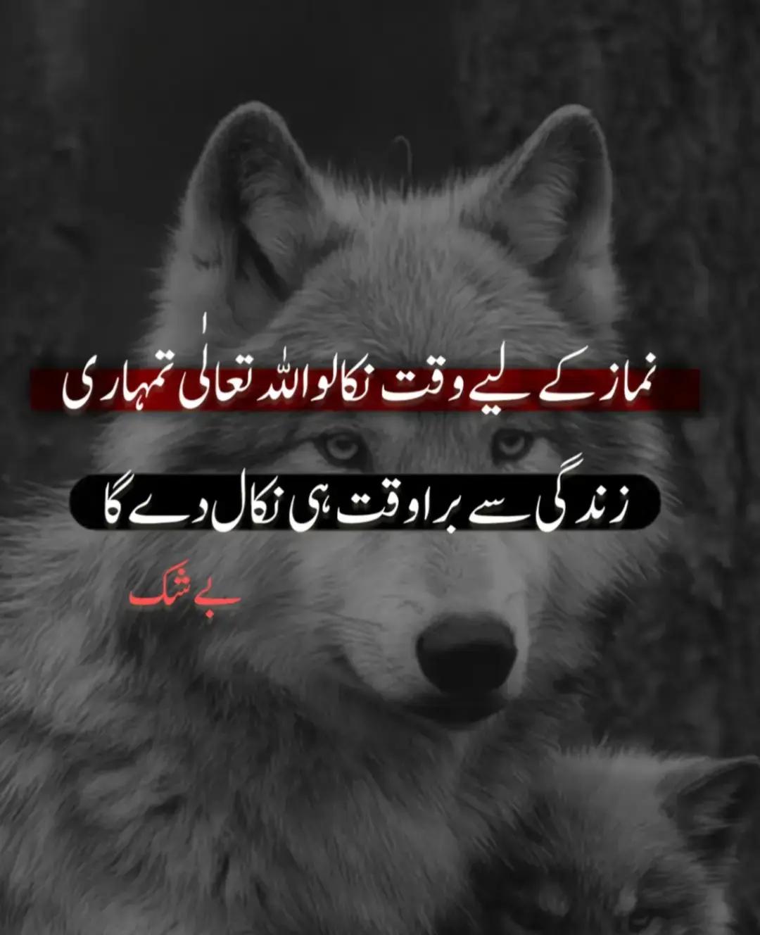 @Dark-Motive