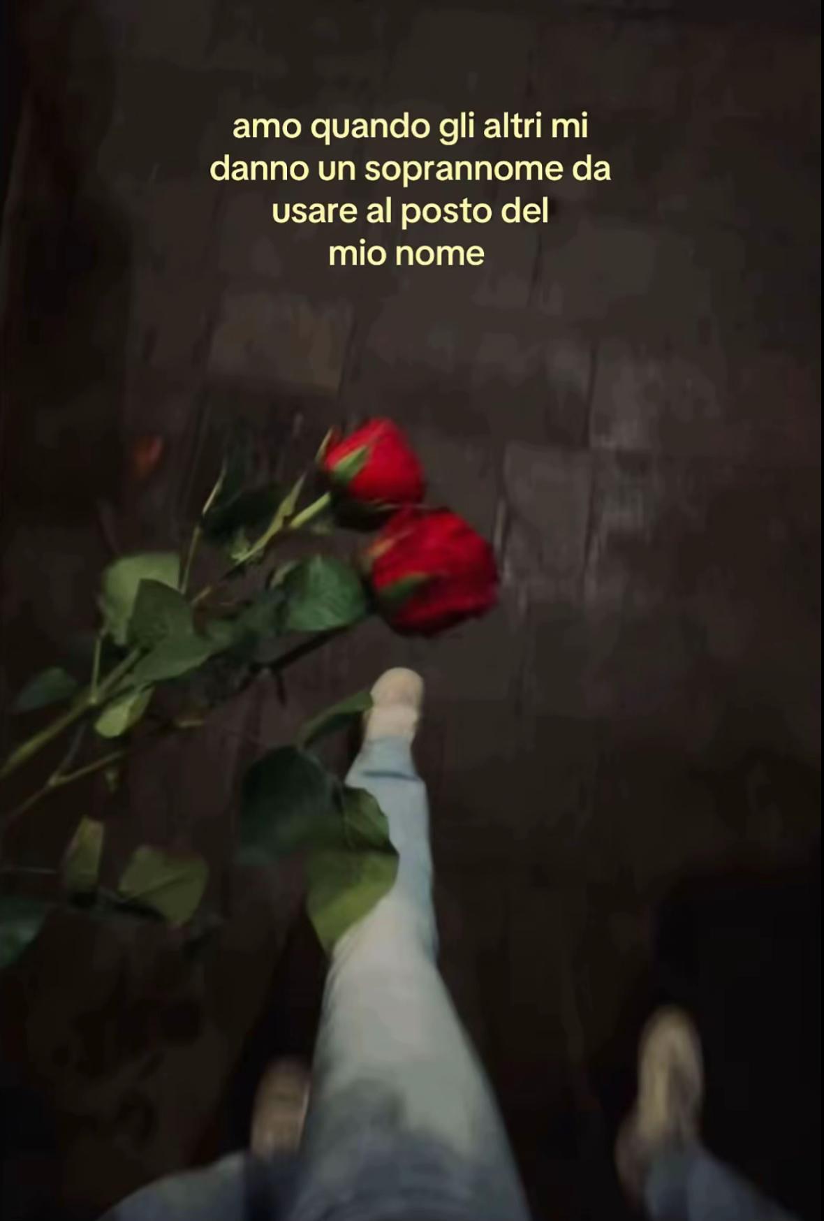 @silviiberiii