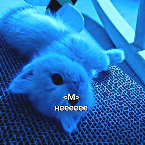 @✞℘︎❦︎𝔎ℜ𝔈𝔖ℑ𝔗❦︎℘︎✞