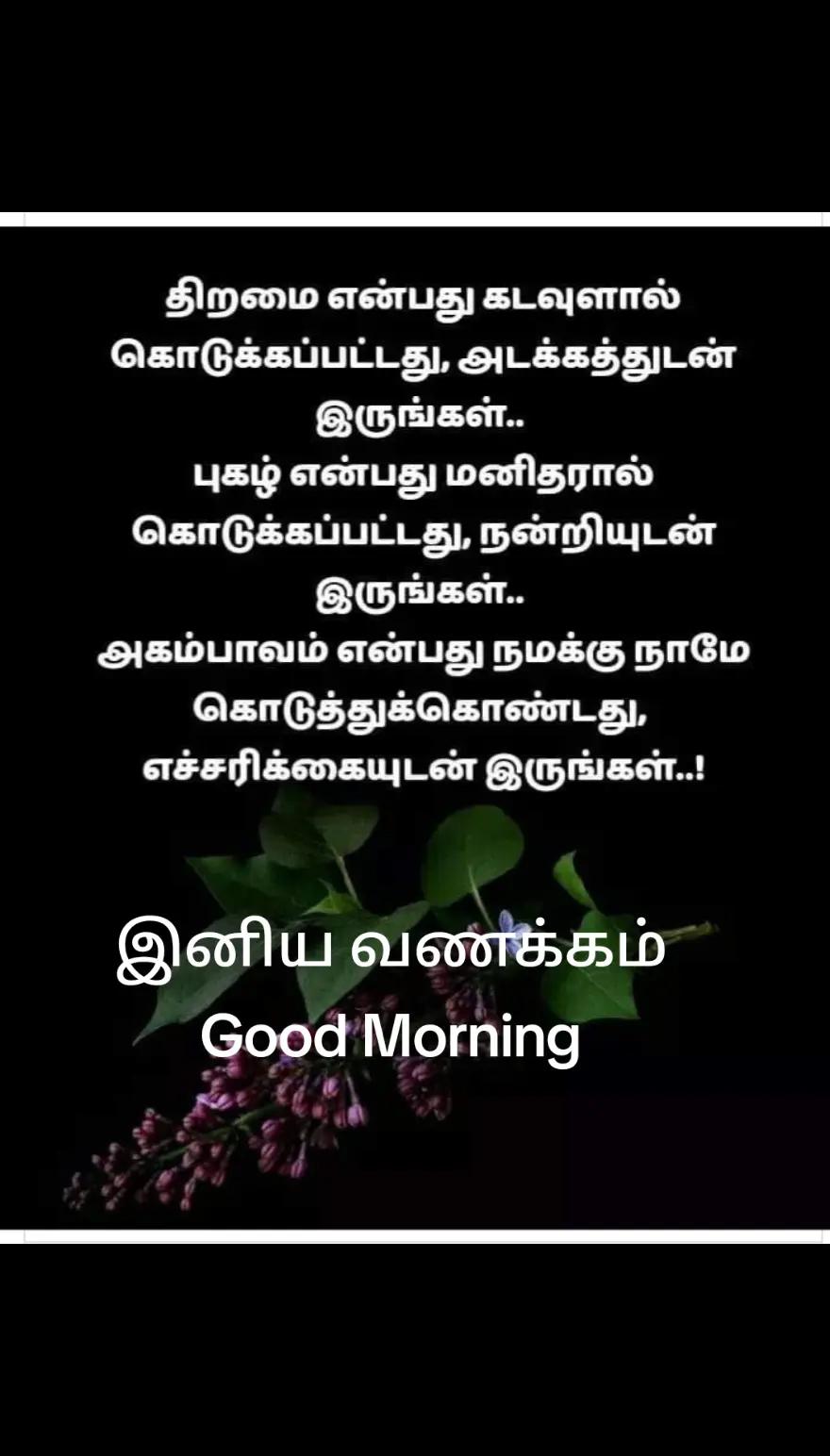 @Panja