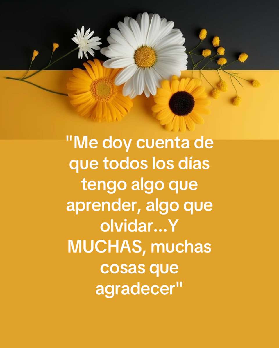 @Gloria María