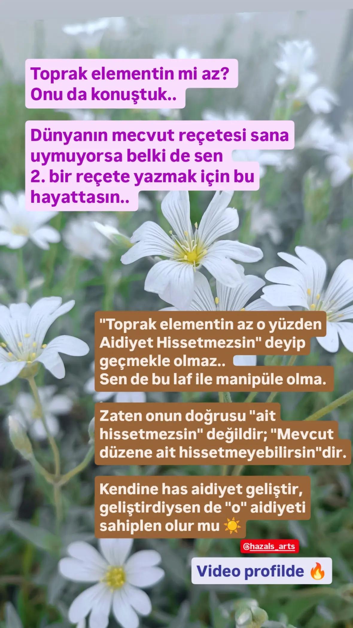 @Hazal🌟