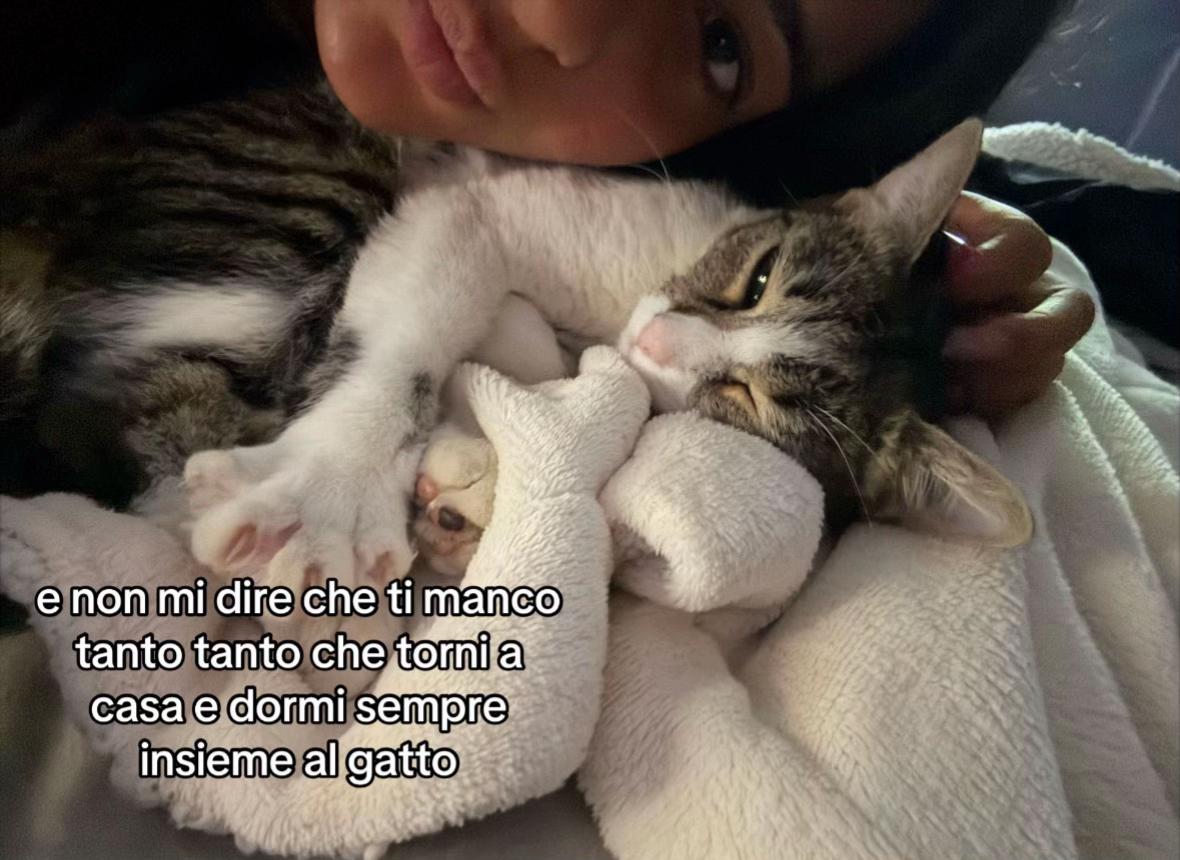 @asia.cirasole_spam