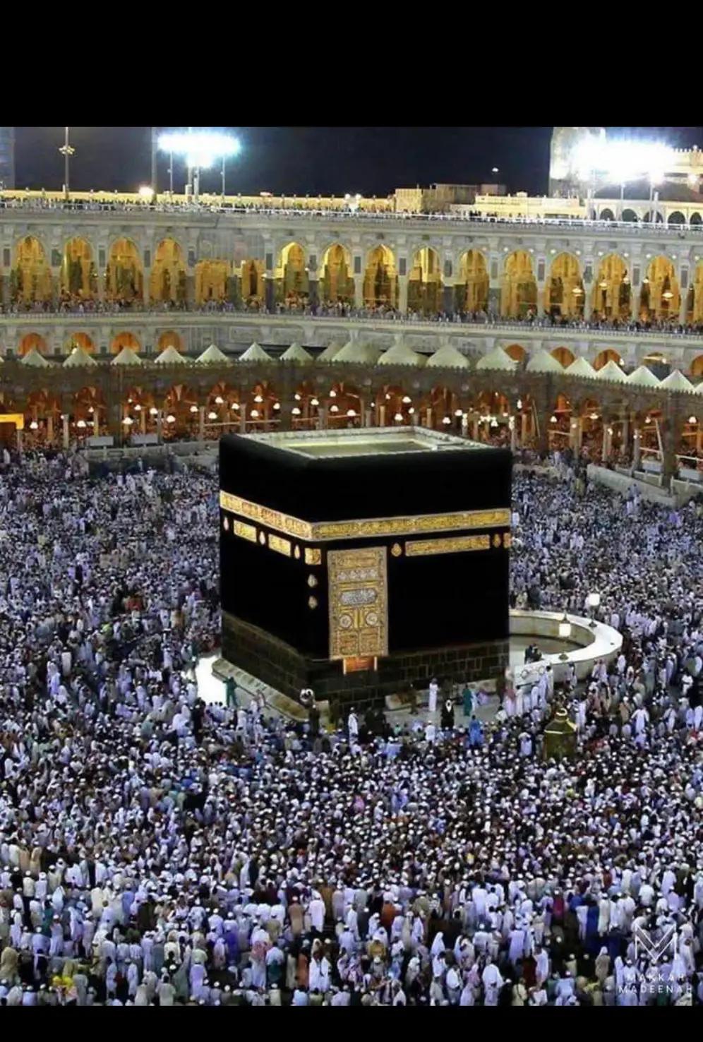 @M/R Rajput 🫰🇵🇰🌹🇸🇦