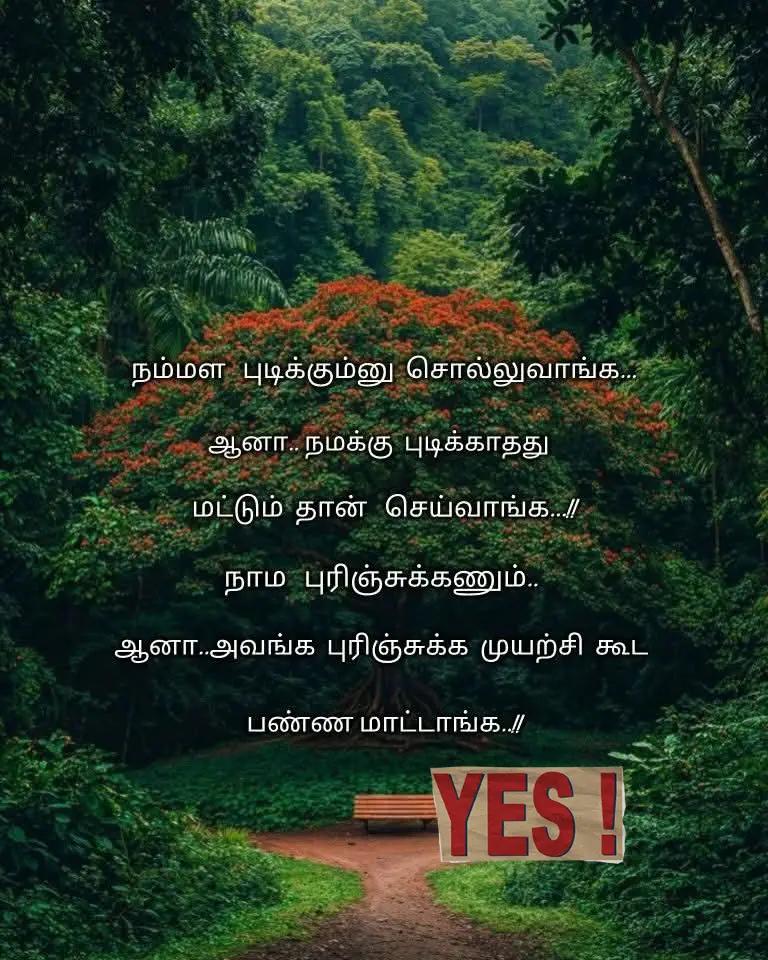 @mansu