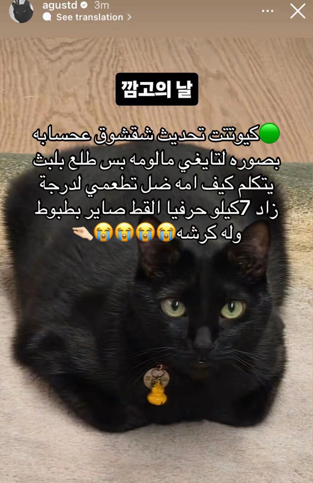 @Remal ๐ฅ