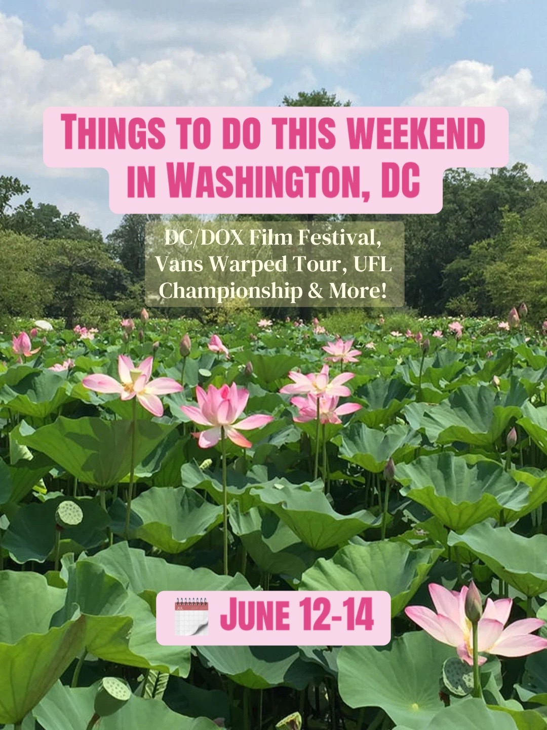 @Visit Washington, DC