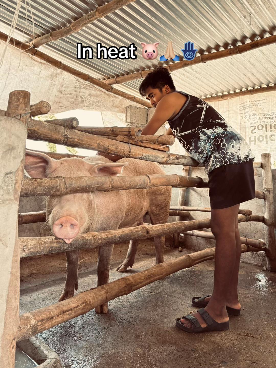 @Jhon Mark Daludado