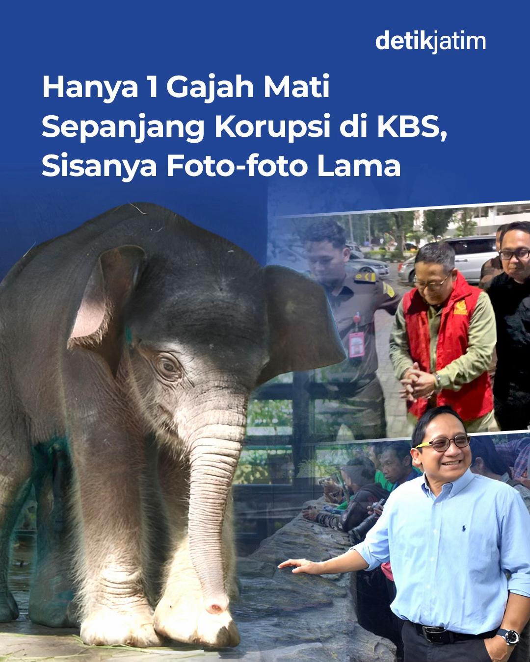 @detikjatim