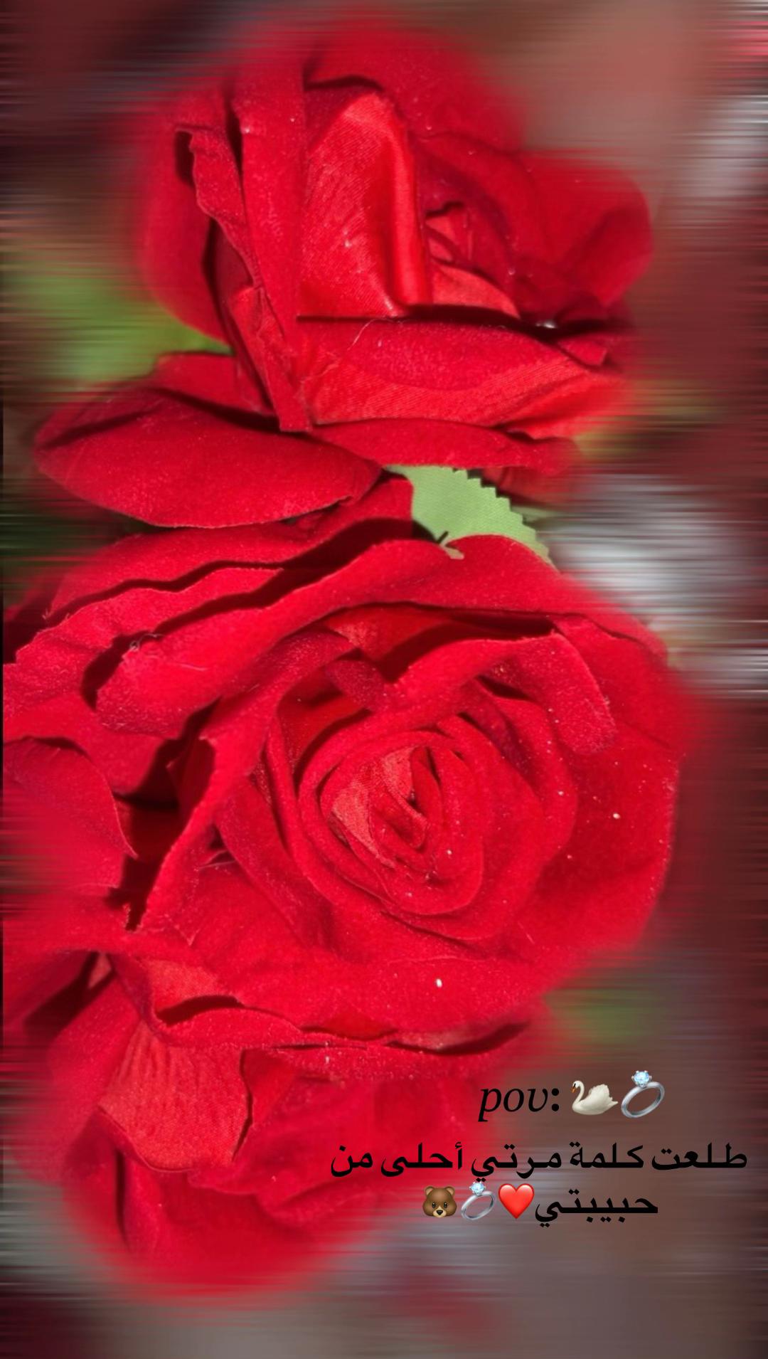@foufou ๐๐ฆ