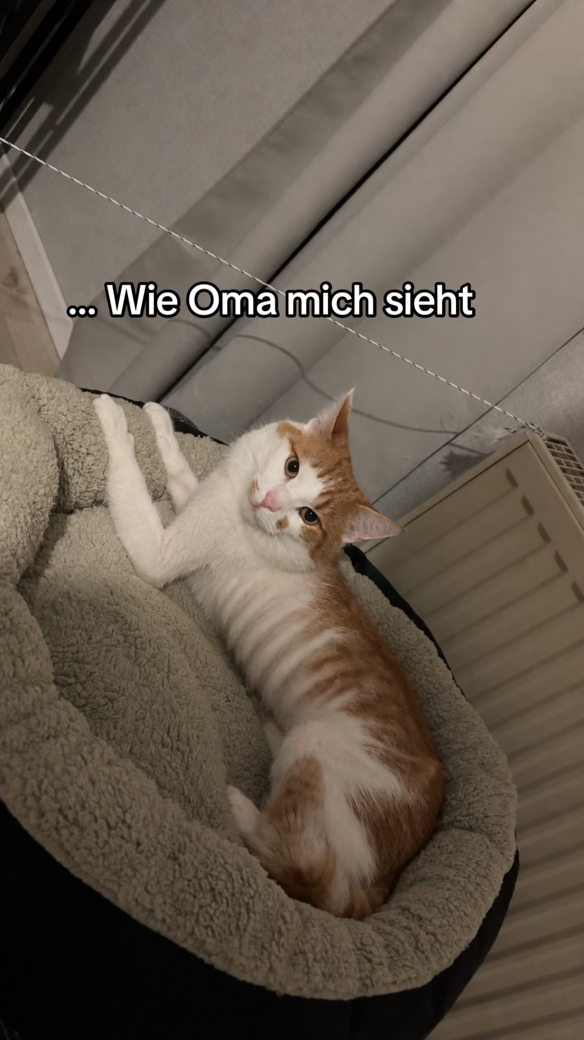 @ʝαιѕѕι😌