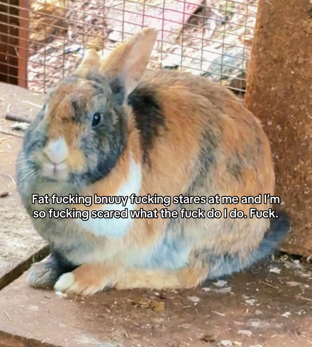 @Sarina Caterpillar