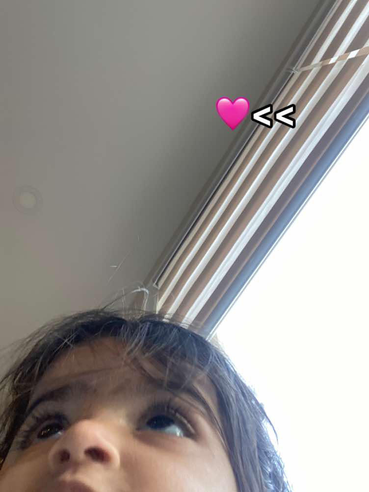 @🐙