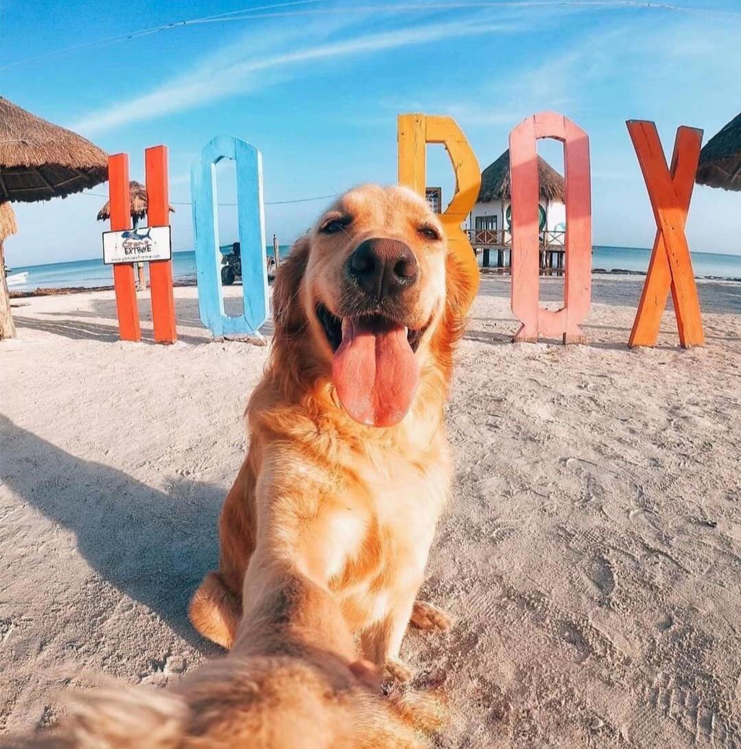 @Murph_holbox