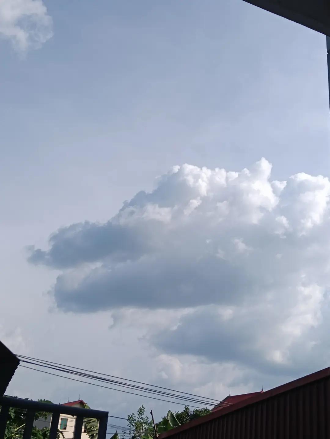 @cơm rang ko hành