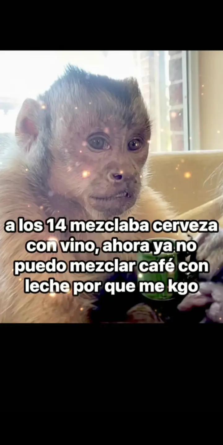 @yohanal&y