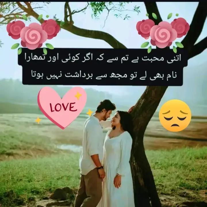 @Hassan Hussain💞