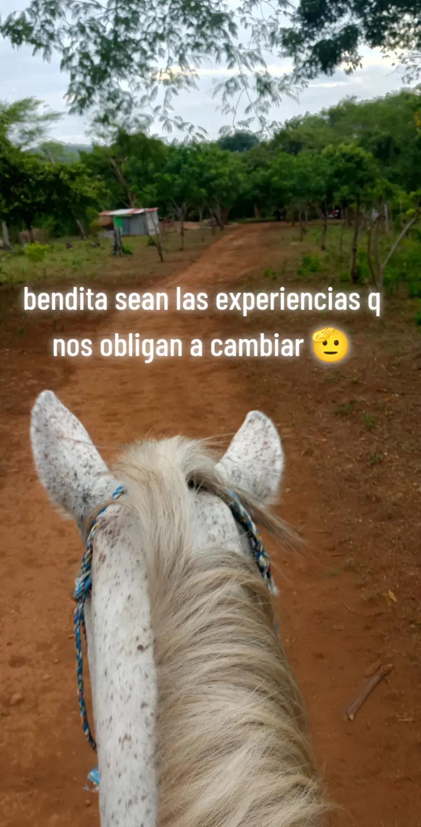 @🖤 chaparrita Narváez 🖤