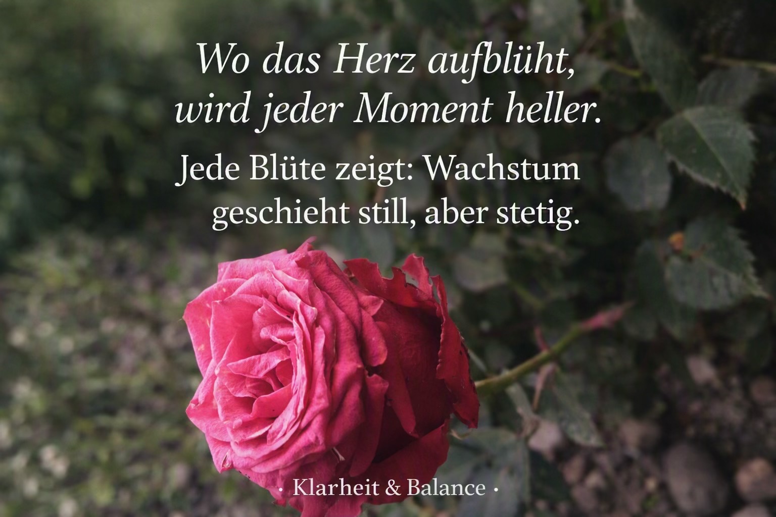 @Lily🇩🇪🇹🇭 ที่นี่มีกำลังใจ💕