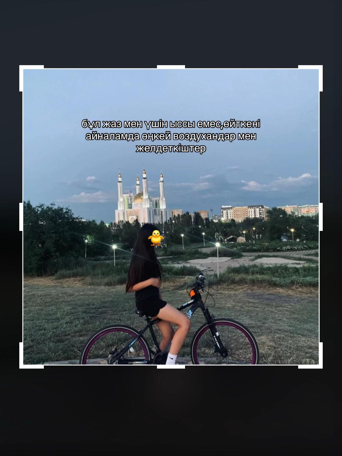 @๐ป๐ถ๐๐ ๐พ๐ ๐๐๐๐๐ค