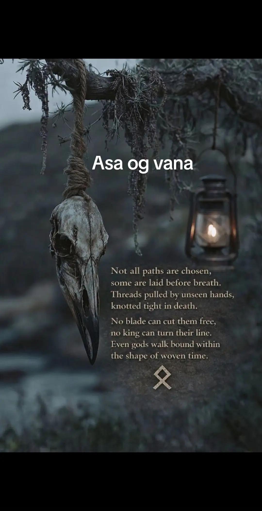 @Old man Berserker🪓Úlfheđnar