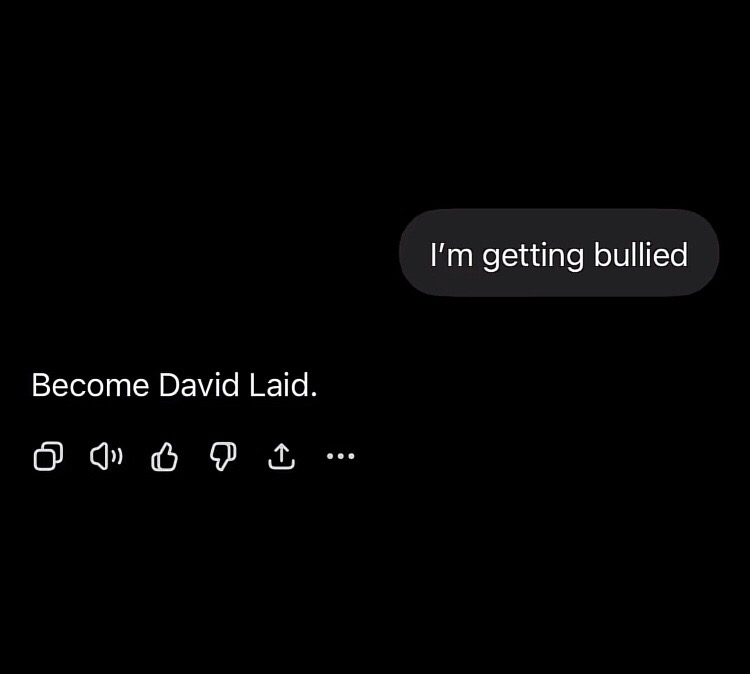 @David Laid Max man
