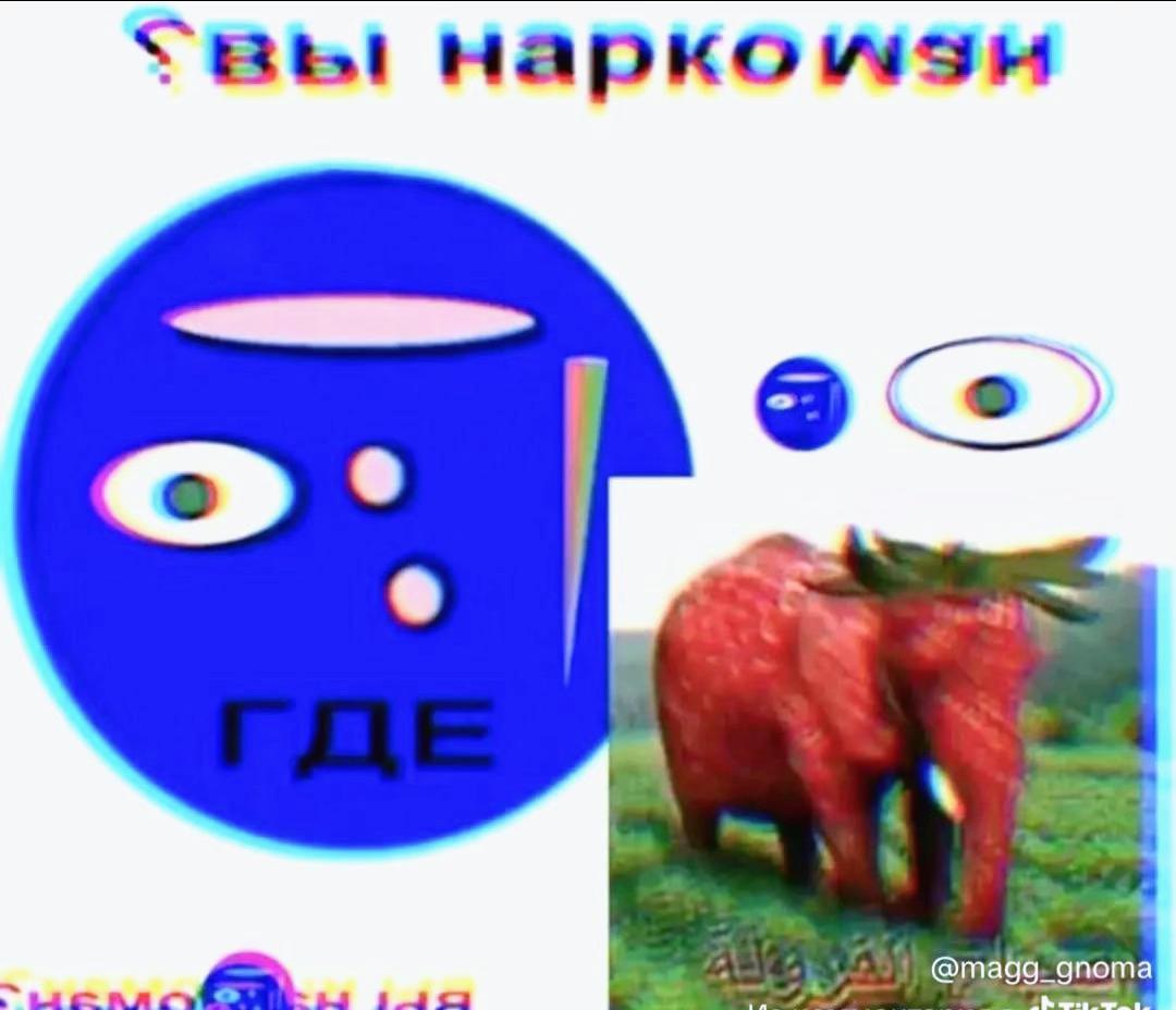 @мелисска🪽
