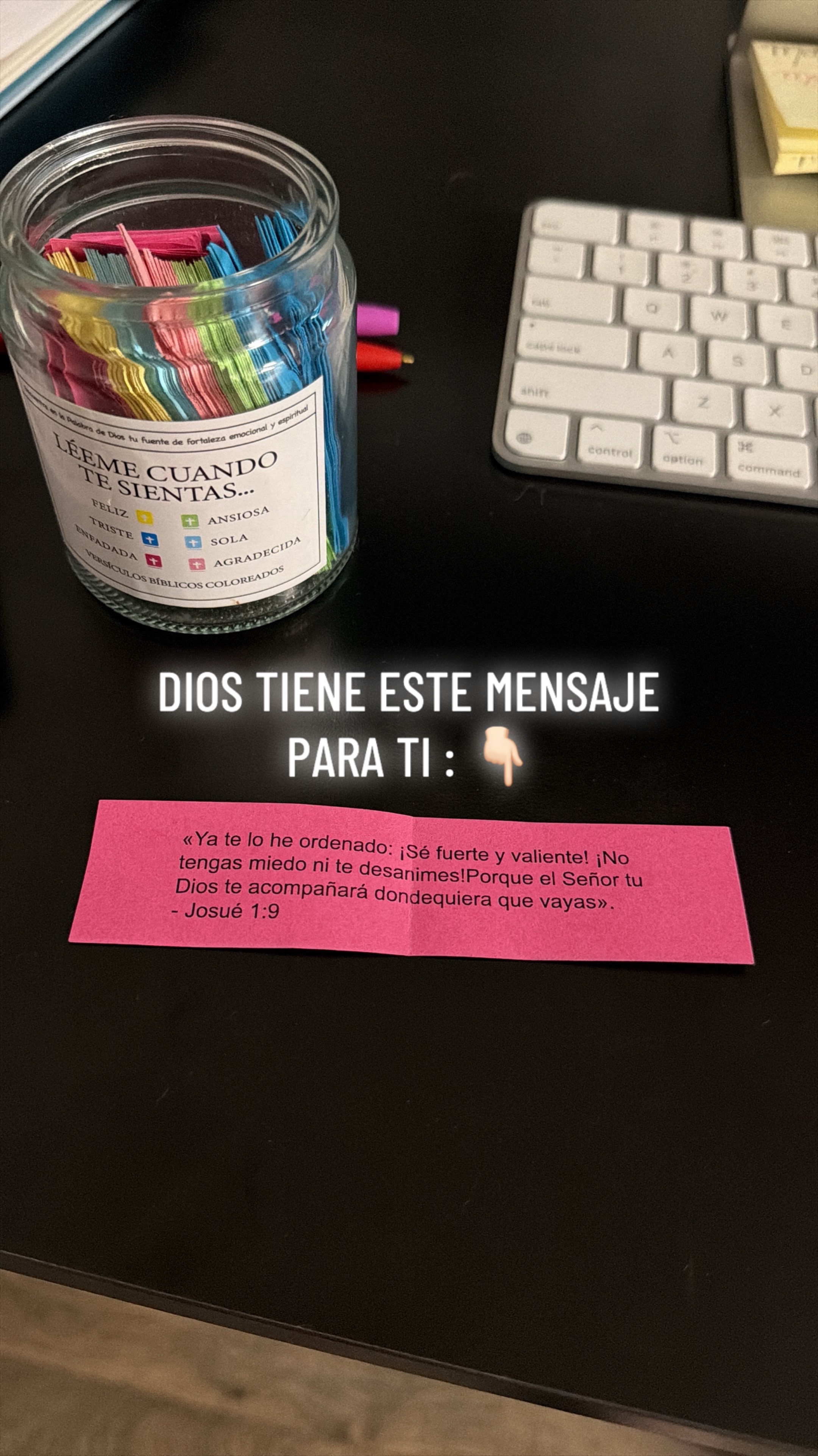 @Melissa Zapata