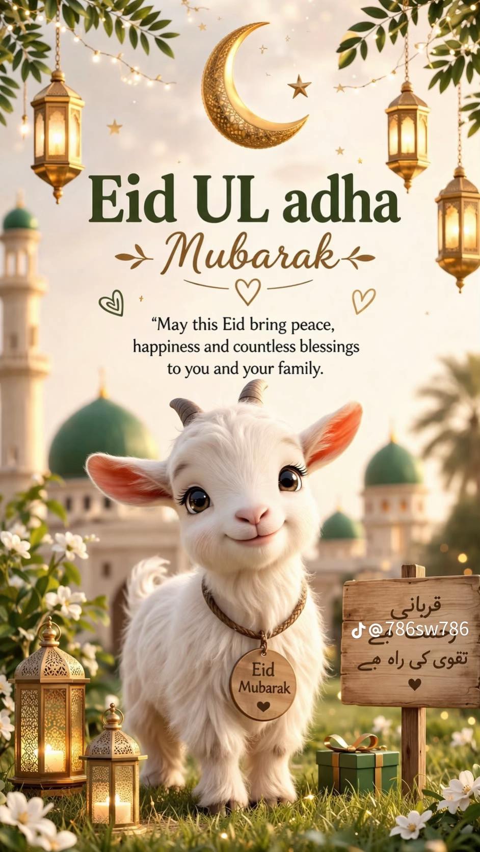 @🇦🇪Faizi 252 🇵🇰
