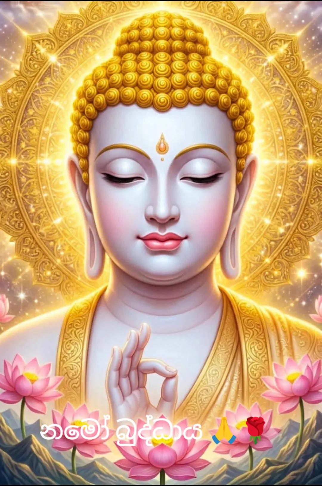 @සබ්බ දානං ධම්ම දානං ජිනාති