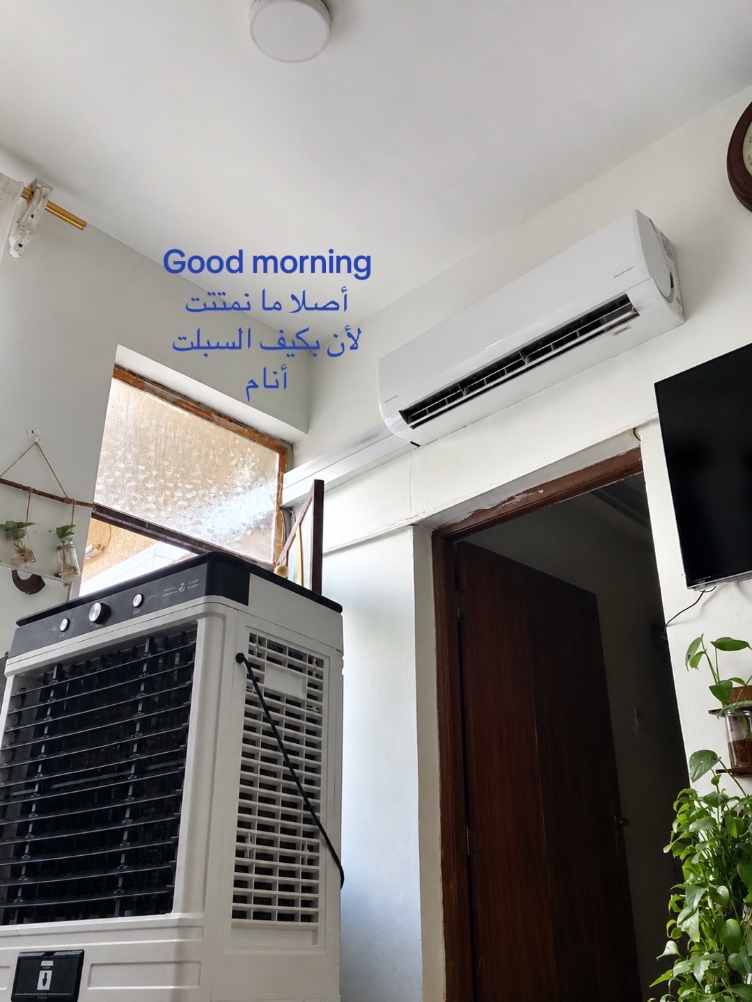 @هـالـة